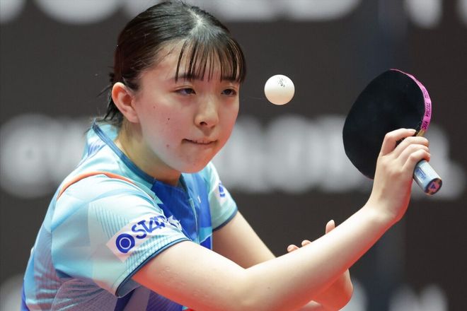 法替代的经 法替代的经