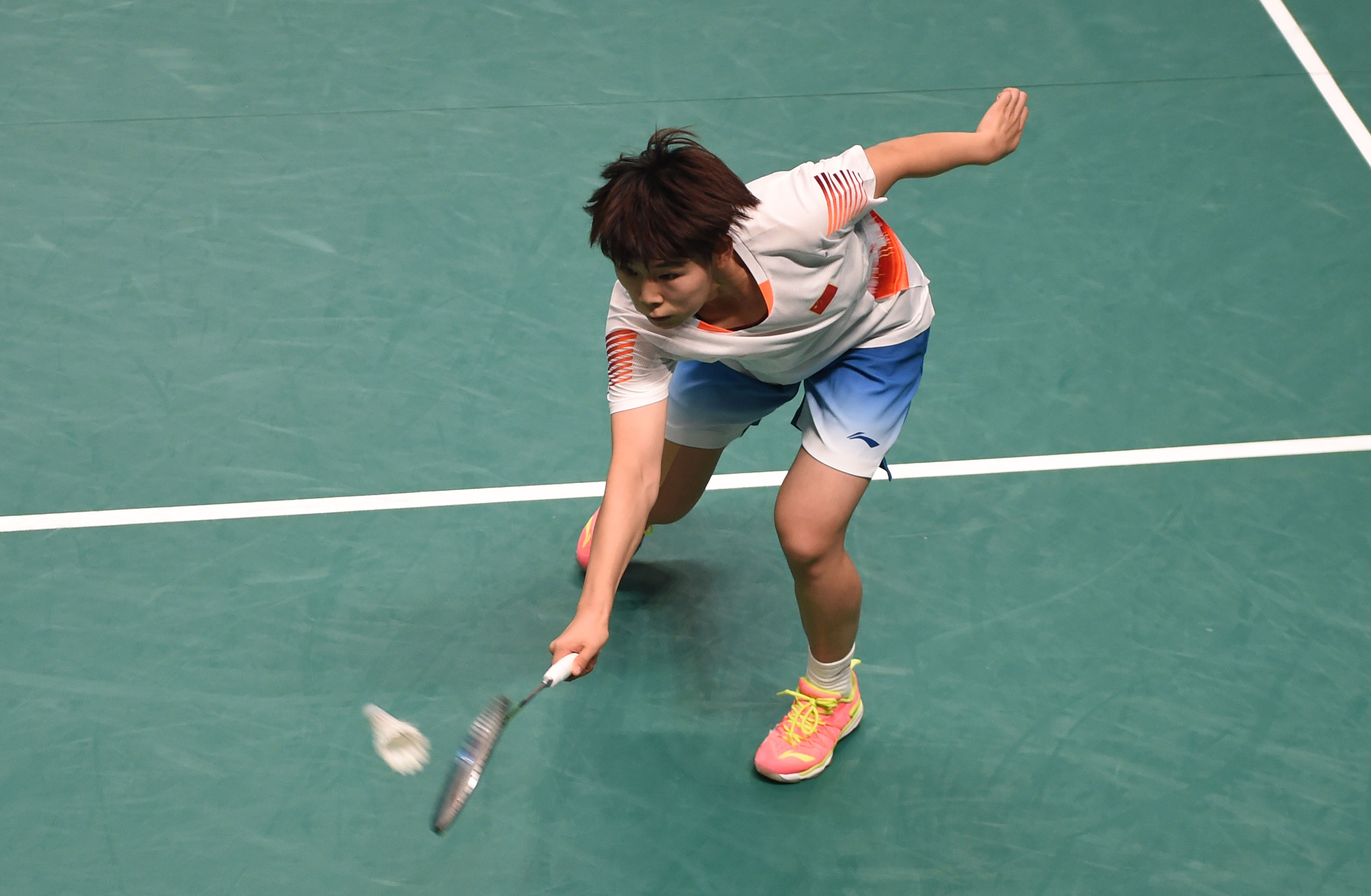 稳固阵容的 稳固阵容的