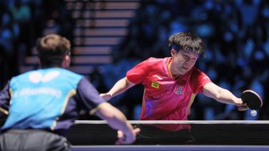 适应西式篮 适应西式篮