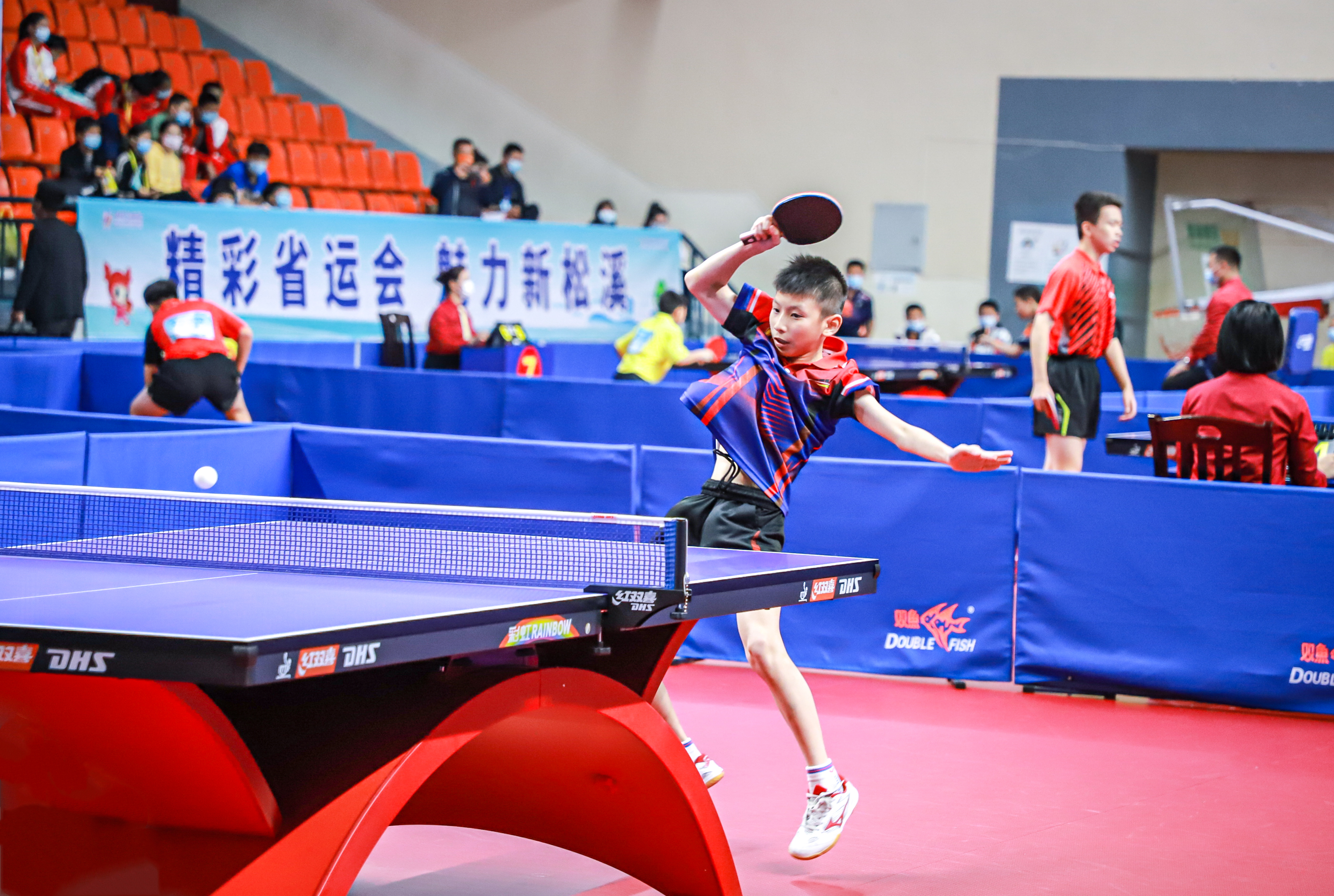 从中我们看 从中我们看